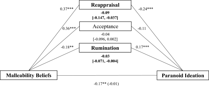 Believing in Change Matters! The Role of Emotion Malleability Beliefs in Emotion Regulation and Paranoid Ideation