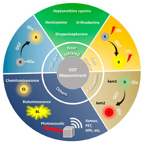 Advances and Perspectives of Responsive Probes for Measuring γ-Glutamyl Transpeptidase