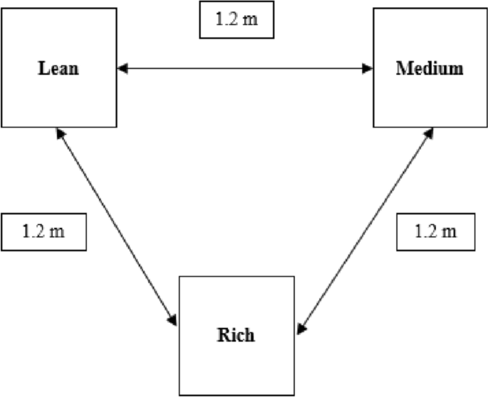 Control of Transition Time by the Likely Future as Signalled from the Past in Children with ASD