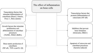 Osteoimmunology in Periodontitis and Orthodontic Tooth Movement.