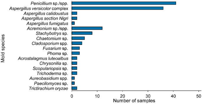 Analysis of mold and mycotoxins in naturally infested indoor building materials.