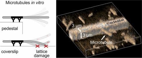 Microtubule rescue control by drugs and MAPs examined with in vitro pedestal assay