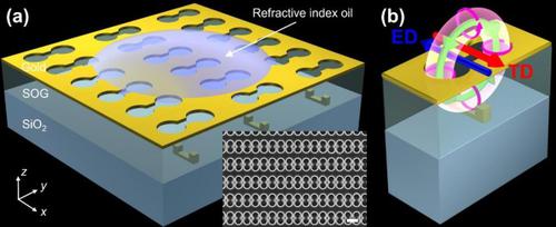 Plasmonic anapole metamaterial for refractive index sensing