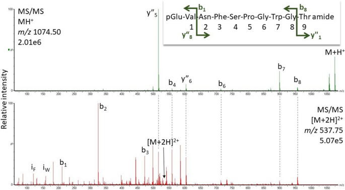 Predicted novel hypertrehalosaemic peptides of cockroaches are verified by mass spectrometry