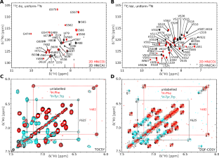 1H, 15N and 13C resonance assignments of a minimal CPSF73-CPSF100 C-terminal heterodimer