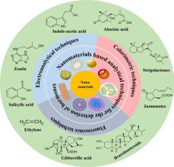 Insights of nanomaterials integrated analytical approaches for detection of plant hormones in agricultural and environmental samples