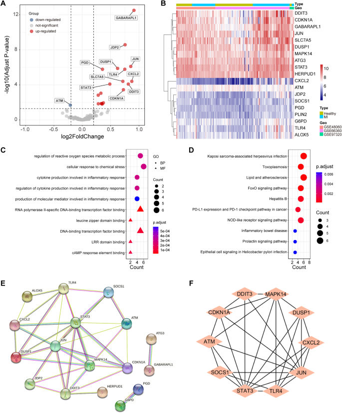 Potential diagnostic biomarkers: 6 cuproptosis- and ferroptosis-related genes linking immune infiltration in acute myocardial infarction