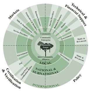 Supporting Community Forestry Certification in Tropical Countries by Increasing Actor Engagement across Scales