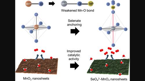 Optimization of oxygen evolution electrocatalytic activity of metal oxide nanosheet via surface modification