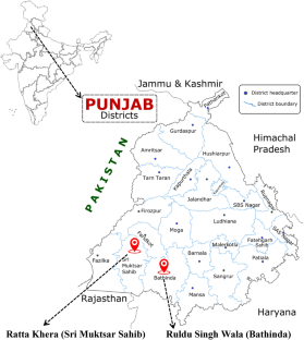 Net Primary Production, Biochemical Composition and Economics of Sugarcane (Saccharum officinarum) Cultivation in Saline and Non-saline Soils of South-Western Punjab, India