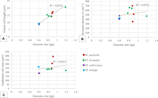 Genome size and guard cell length are associated in four species of Miconia (Miconieae, Melastomataceae)