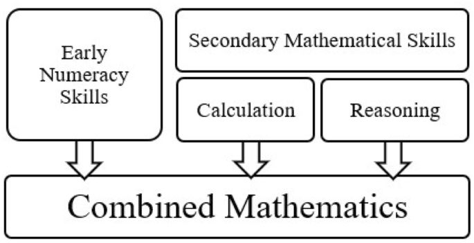 Mathematics Skills in Epilepsy: A Systematic Review and Meta-Analysis.