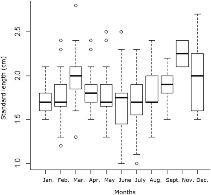 Morphological and temporal variations in the gametogenic development of the killifish Melanorivulus rossoi (Cyprinodontiformes, Rivulidae) in an area under crop influence