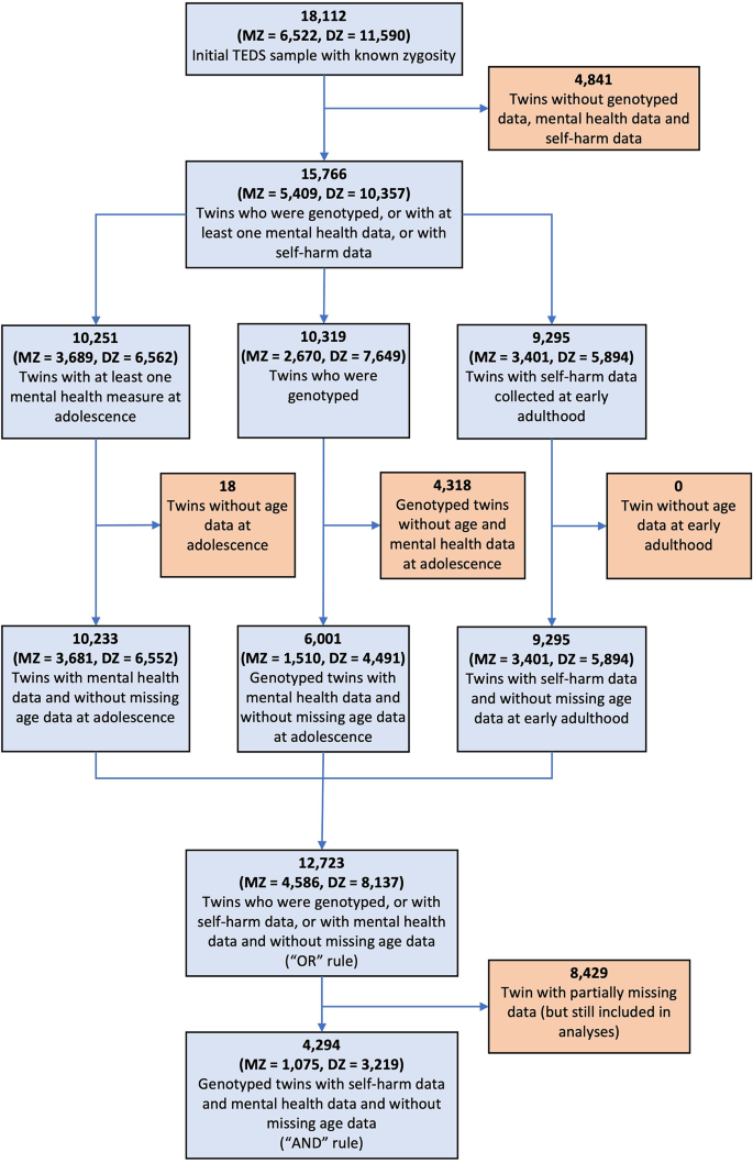 Investigating the causal risk factors for self-harm by integrating Mendelian randomisation within twin modelling.