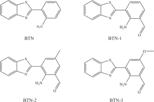 Uncovering the effects of different substituents on excited state hydrogen-bonding interaction and fluorescent behavior in BTN system: a TD-DFT insight