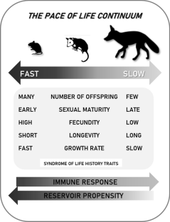 Zoonotic Disease Risk and Life-History Traits: Are Reservoirs Fast Life Species?