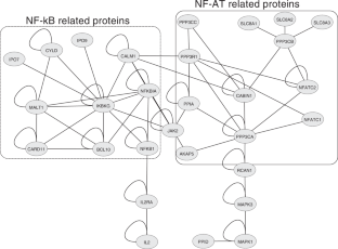 Protein network and pathway analysis in a pharmacogenetic study of cyclosporine treatment response in Greek patients with psoriasis