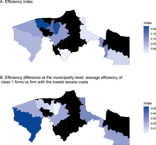 Productivity in Procurement Auctions of Pavement Contracts in Mexico