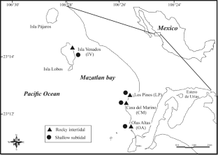 Structure of the bivalve (Mollusca) assemblage of Mazatlan bay, Mexico, and its relationship to environmental variables