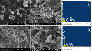 Influence of sewage sludge, Rhizobium and arbuscular mycorrhizal fungi on nutrient uptake, growth, photosynthetic and biochemical attributes in Cicer arietinum L.