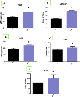 Effects of Dietary Selenium Yeast Supplementation on Oxidative Biomarkers of the Brain and Blood in Goats.