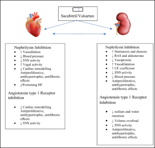 Sacubitril/Valsartan in Dialysis Patients: Update on Current Perspectives.