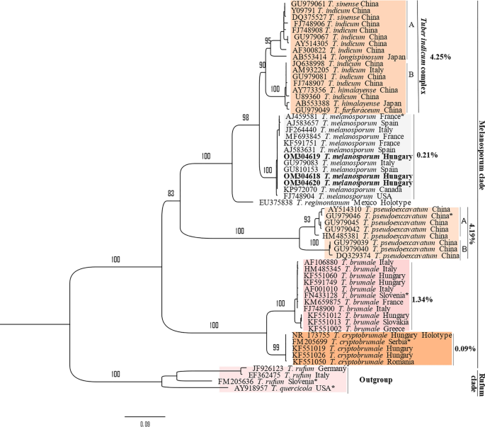 European Tuber melanosporum plantations: adaptation status in Hungary, mycorrhizal level, and first ascocarp detection in two truffle orchards.