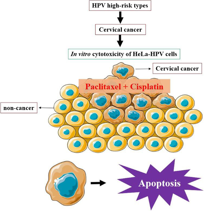 Synergic effect of paclitaxel and cisplatin associated with gold nanoparticles on HeLa cervical cells