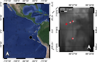 Deconvolving feeding niches and strategies of abyssal holothurians from their stable isotope, amino acid, and fatty acid composition