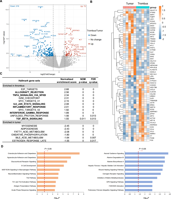 Integrated analysis of single-cell and bulk RNA sequencing data reveals an immunostimulatory microenvironment in tumor thrombus of osteosarcoma.