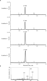 Evaluation of decarboxylation efficiency of Δ<sup>9</sup>-tetrahydrocannabinolic acid and cannabidiolic acid by UNODC method.