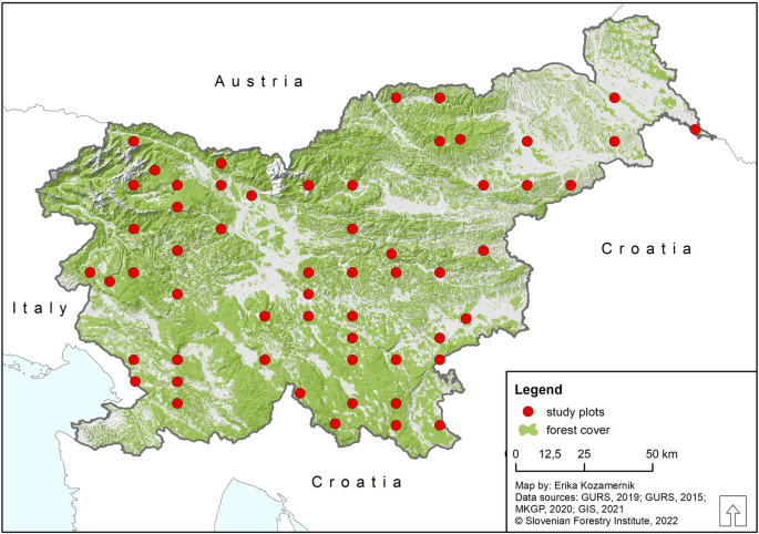 Congruence between vascular plants and bryophytes in response to ecological conditions in sustainably managed temperate forests (taxonomic- and trait-based levels)