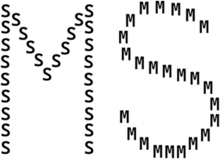 Some like it "local": A review of hierarchical processing in non-human animals.