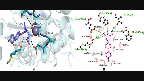 Inhibitor Assessment against the LpxC Enzyme of Antibiotic-resistant Acinetobacter baumannii Using Virtual Screening, Dynamics Simulation, and in vitro Assays.