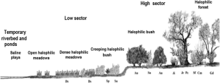 Forage offer from a saline wetland of Central Argentina (San Luis Province)