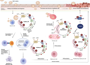 Targeting the crosstalk of epigenetic modifications and immune evasion in nasopharyngeal cancer.