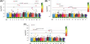 Elucidation of genetic determinants of dyslipidaemia using a global screening array for the early detection of coronary artery disease.