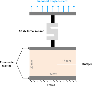 Displaying quasi-brittle failure using avalanches: paper as a material model