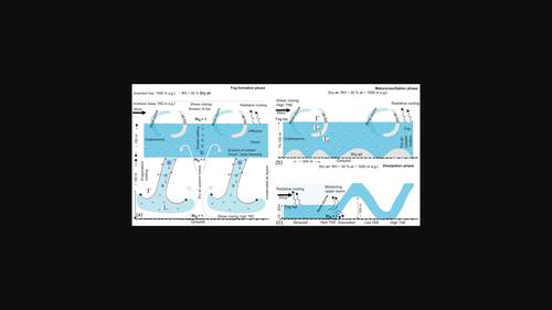 A case study of the life cycle of a stratus‐lowering coastal‐fog event in Newfoundland, CA