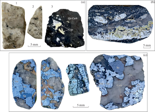 The Zonal Fahlore from the Darasun Gold Deposit, Transbaikalia, Russia: an Example of a Self-organizing System and their Depositional Conditions