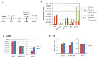 Possible regulation of ganglioside GD3 synthase gene expression with DNA methylation in human glioma cells.