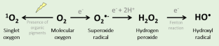 Electron Paramagnetic Resonance Applied to Free Radicals and Reactive Oxygen Species Detection in Plant Systems