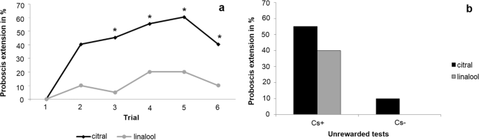 Apis mellifera Worker Bees Selected for Varroa-sensitive Hygiene Show Higher Specific Sensitivity and Perception Speed Towards Low Concentrations of Chemical Cues Emitted by the Brood