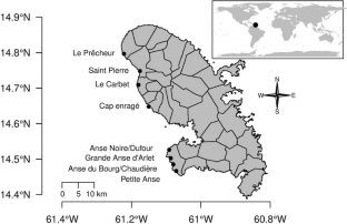 Fibropapillomatosis Prevalence and Distribution in Immature Green Turtles (Chelonia mydas) in Martinique Island (Lesser Antilles)