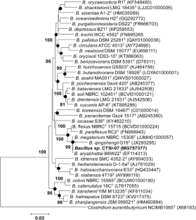 Reclamation of chromium-contaminated soil by native Cr(VI)-reducing and PHA-accumulating Bacillus aryabhattai CTSI-07.