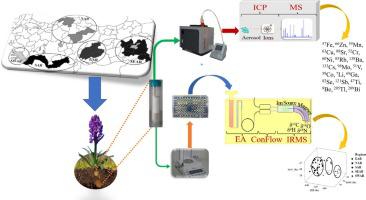 Elemental compositions and stable isotope signatures for determining the geographical origin of salep orchids collected from different regions of Turkey