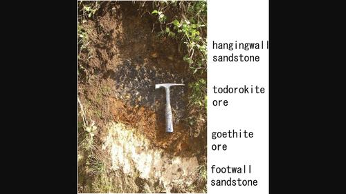 Chemical compositions of the Neogene bedded manganese deposits in the Fukaura area, Northeast Japan