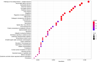 Ubiquitinomics revealed disease- and stage-specific patterns relevant for the 3PM approach in human sigmoid colon cancers.