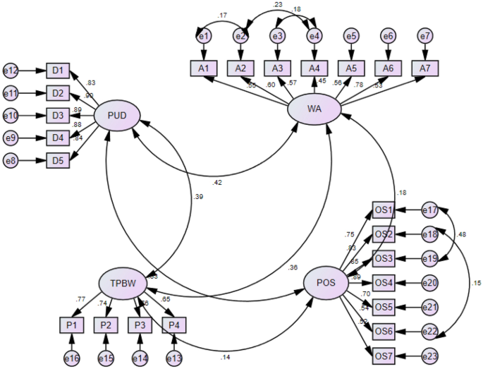 The Interplay of digitalization, organizational support, workforce agility and task performance in a blended working environment: evidence from Indian public sector organizations