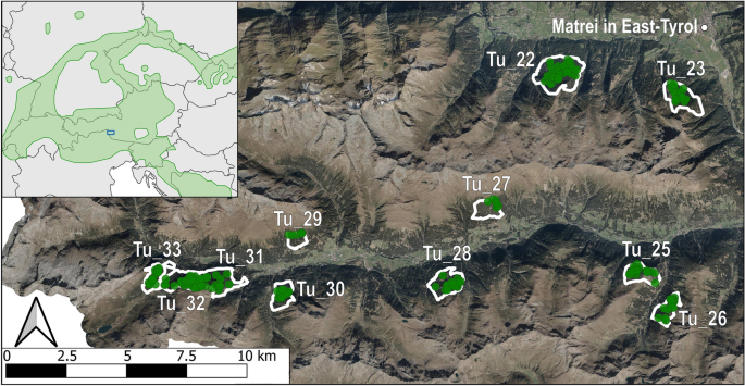 Towards a standardised set of data analyses for long-term genetic monitoring of grouse using non-invasive sampling: a case study on western capercaillie